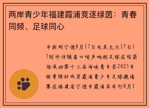 两岸青少年福建霞浦竞逐绿茵：青春同频、足球同心